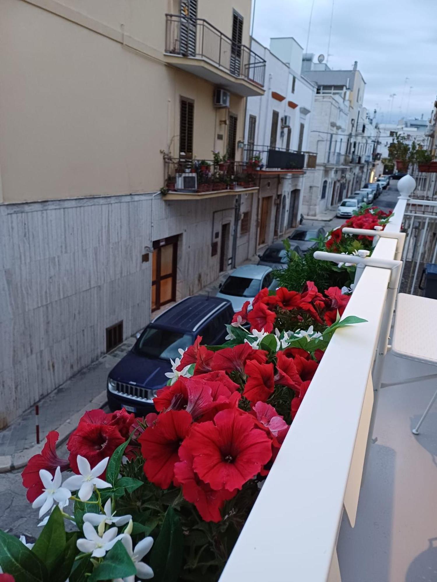 Casa Lina Apartment Mola di Bari Ngoại thất bức ảnh